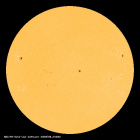 SDO/HMI Continuum Image of the Sun